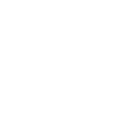 SDI + HDMI Input & Output